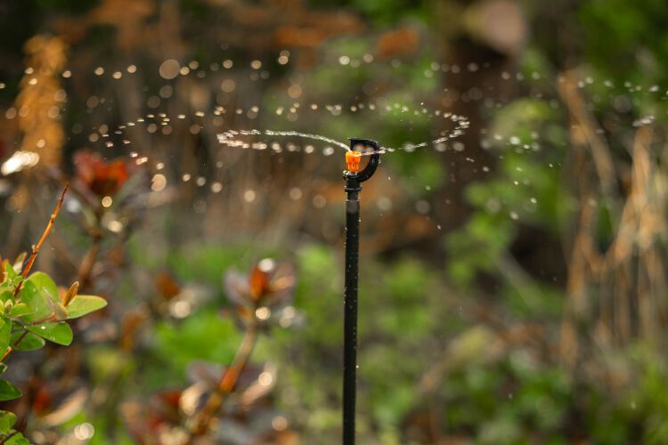 Advies in de winkel - tuin